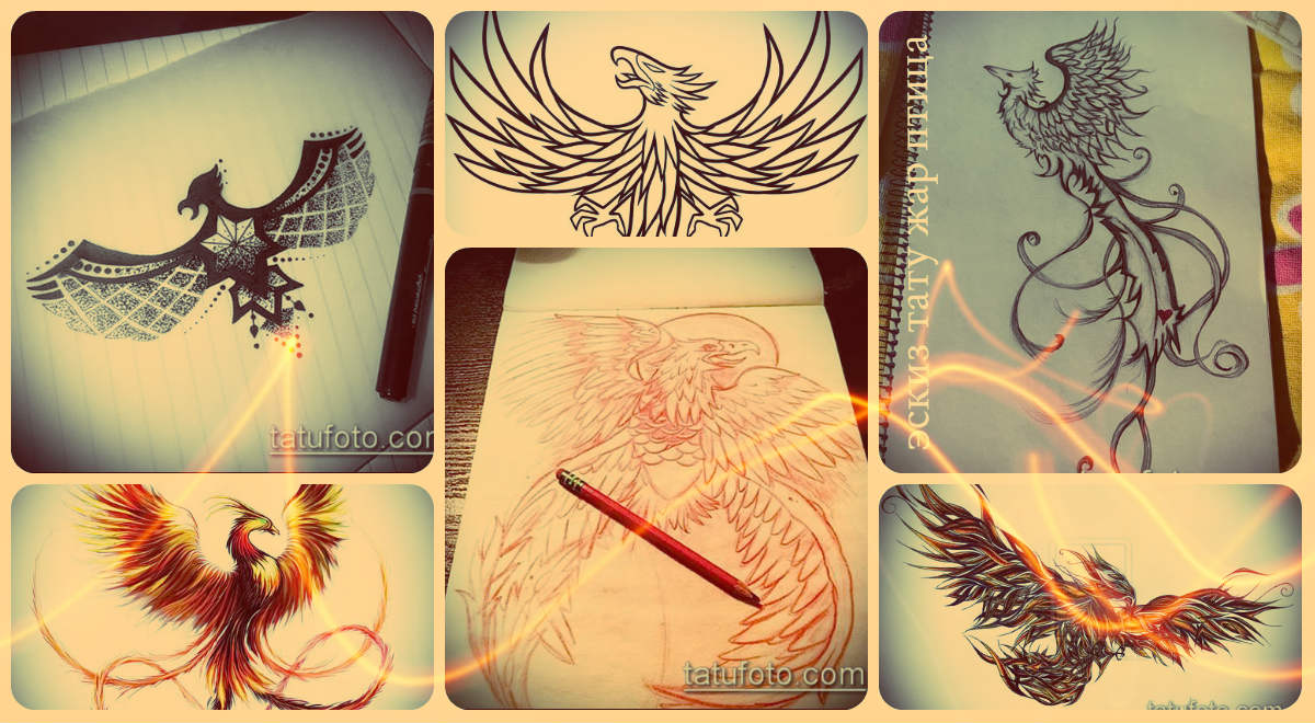 Tetoválásvázlatok láz - menő minták egy észrevehető tetováláshoz (Főnix)