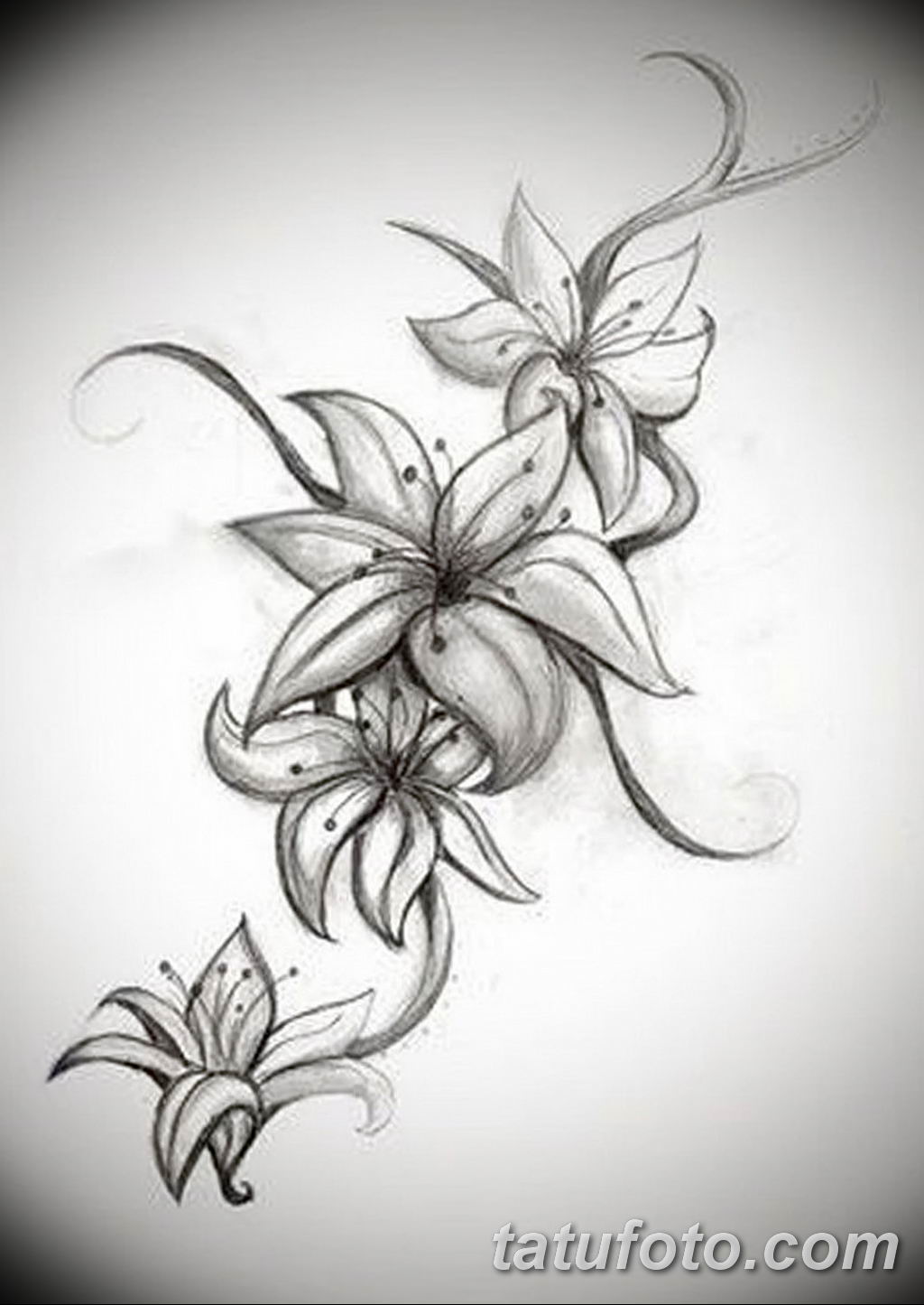 Fotó a jázmin tetoválás vázlatáról 2019.08.22. №046 - jázmin tetoválási vázlat -