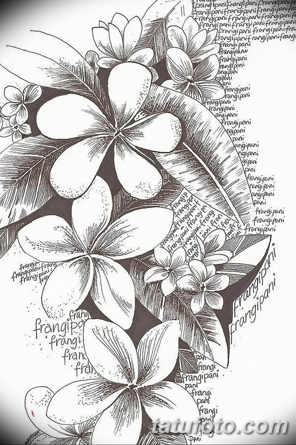 Fotó a jázmin tetoválás vázlatáról 2019.08.22. №035 - jázmin tetoválási vázlat -