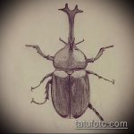 vázlat egy bogár tetoválásról # 675 - a rajz hűvös változata, amely jól használható a bogár megváltoztatására és tetoválásként való alkalmazására a zónán