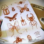 vázlat egy bogár tetoválásról # 55 a minta érdekes változata, amely jól használható a bogár átalakítására és tetoválásként történő alkalmazására a középső ujjon