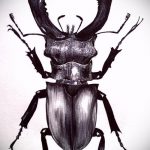 vázlat egy bogár tetoválásról # 48 - a rajz hűvös változata, amely jól használható a bogár tetoválásához a nyakon