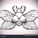 A bogár tetoválás vázlata # 248 a minta érdekes változata, amely sikeresen használható feldolgozásra és bogár tetoválásként történő alkalmazásra a zónán