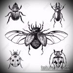 vázlat egy bogár tetoválásról # 922 - a minta exkluzív változata, amely sikeresen használható a középső ujj bogárának átalakítására és tetoválásként történő alkalmazására
