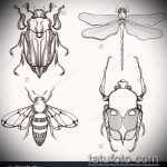 vázlat egy bogár tetoválásról # 38 - a minta exkluzív változata, amely könnyen felhasználható bogár tetoválásként a karon