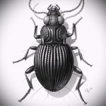 vázlat egy bogár tetoválásról # 102 - a rajz hűvös változata, amely jól használható a bogár vállán történő átalakítására és tetoválásként történő alkalmazására