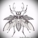 vázlat egy bogár tetoválásról # 486 - a minta exkluzív változata, amely sikeresen használható a ketrecben lévő bogár megváltoztatására és tetoválásra