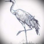 скица на татуировка на кран № 663 е достойна версия на рисунка, която може лесно да се използва за обработка и нанасяне като татуировка на кран на ръката