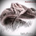 A kígyóvázlat tetoválás hűvös változata - női kígyó tetováláshoz használható