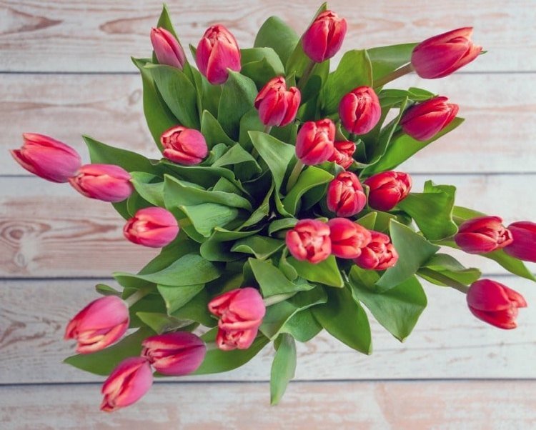 Rezané kvety s octom s dlhou životnosťou