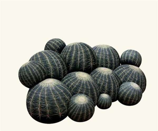 dizajn kaktusovej sedačky pre zábavu a pohodlie v nábytku v obývacej izbe