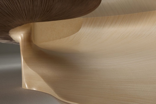 dizajnový stôl nautilus elegantný tvar vlny dizajnový stôl s elegantným tvarom vlny Nautilus