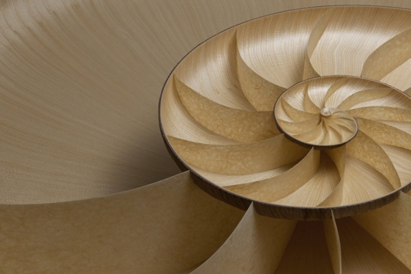 dizajn stola s transparentným dizajnom v tvare nautilus