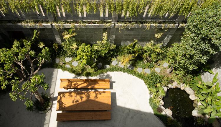 Exotické rastliny v záhrade ponúkajú súkromie a ochranu pred slnkom