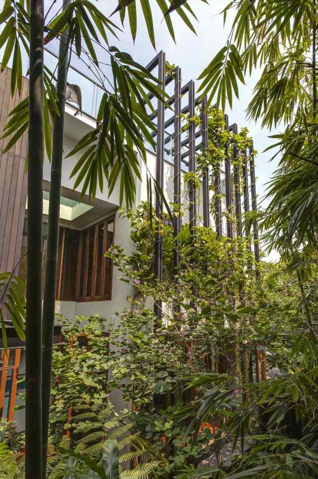 Fasáda domu vysoké palmy bazén moderná mestská vila S vysoký palmový bazén moderné mestské sídlo Singapur