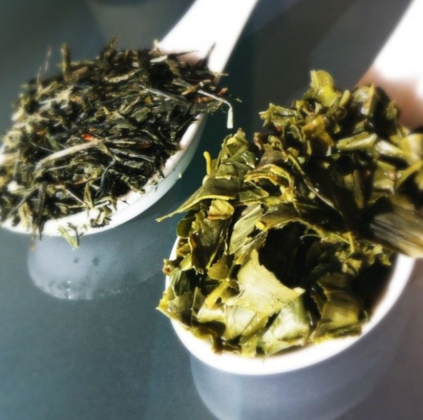 vlastnosti zeleného čaju-výhody odborné rady výhody zeleného čaju rady odborníka na zdravé stravovanie