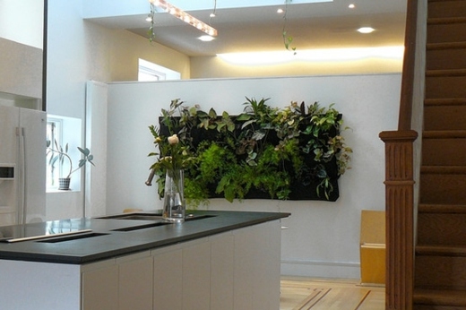 obývacia stena-dekorácia-rastliny