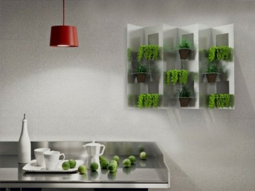 dekorácia steny rastliny
