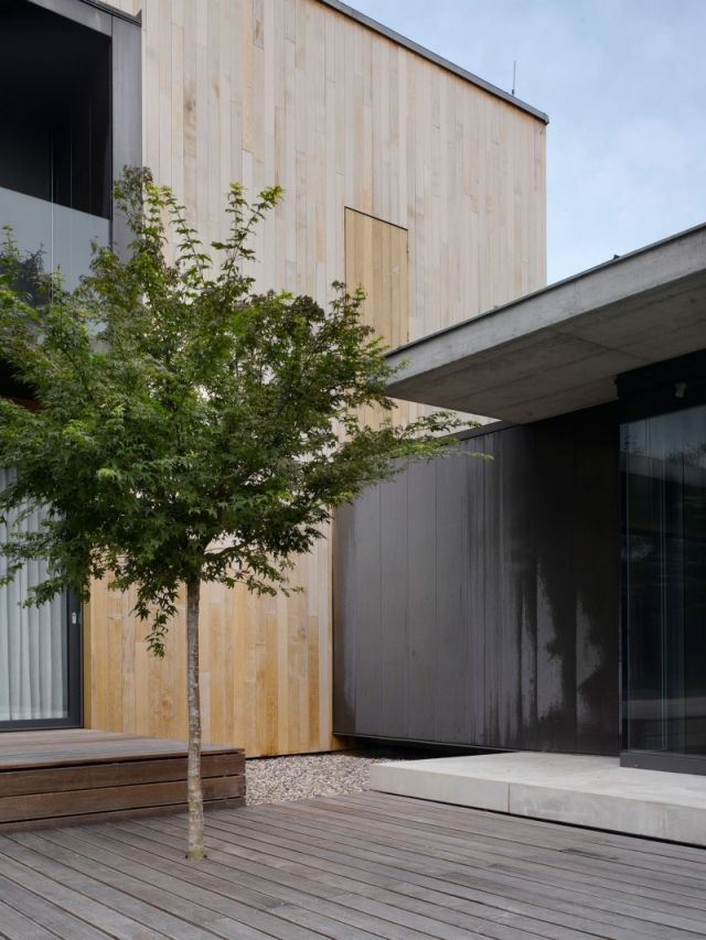 Navrhnite prírodnú podlahu zo stromovej dosky zo stromu