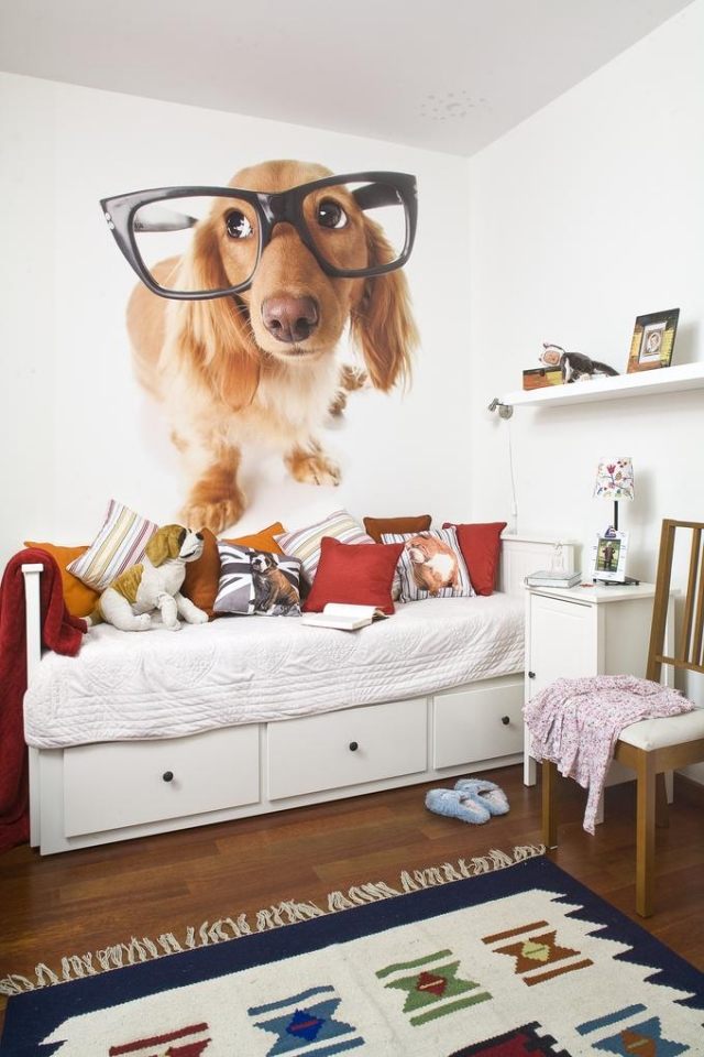 nápady-stena-dizajn-detská izba-foto-tapeta-vtipné-okuliare pre psa