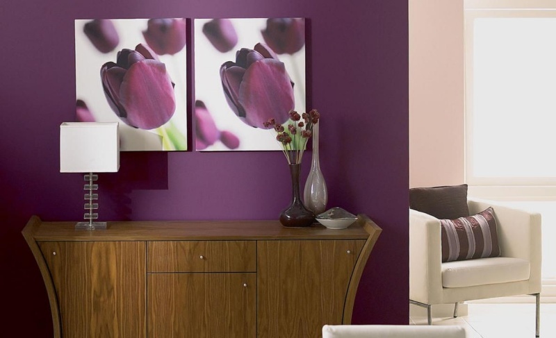 Vyrobte si v obývačke modernú purpurovú stenu Farba-apartmán-chodba-obrázky-nápady-purpurová