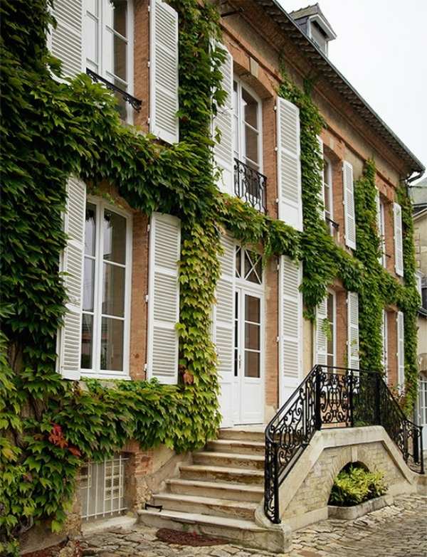 Trojlistá panenská viničná fasádna výzdoba