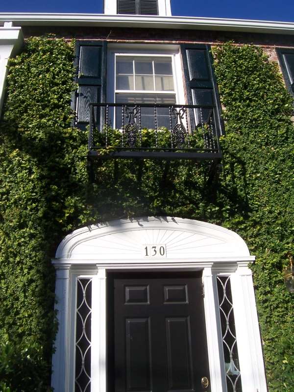 ozdobiť fasádu domu vždyzelený rastlinný brečtan