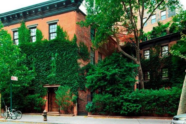 fasáda zeleného domu mestský zelený brečtan