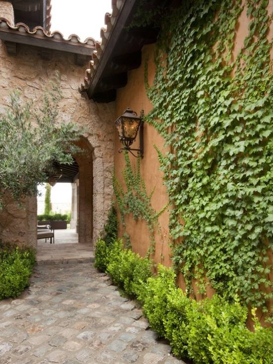 fasádna výzdoba zeleň popínavé rastliny steny