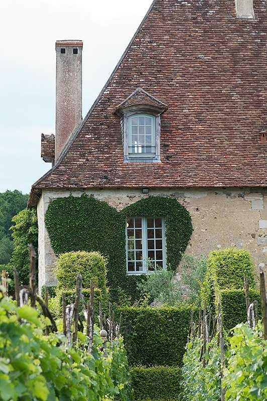 Vonkajšie steny vidieckeho domu rastú v tvare brečtanu
