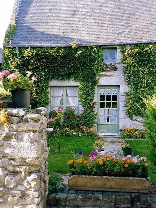 vidiecky dom popínavá rastlina dom fasáda ozelenenie