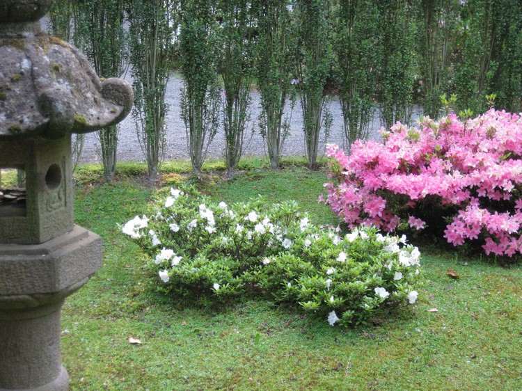 feng-shui-záhradné rastliny-kov-biela-rododendron-guma