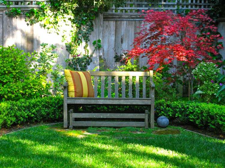 Feng Shui v záhrade vhodné pre rastliny-stromy-kríky