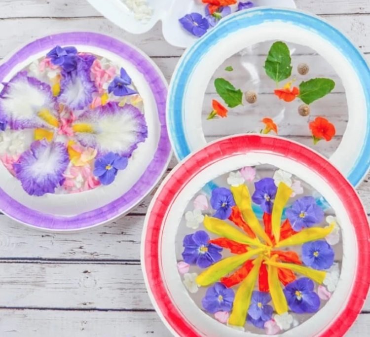 Ručné práce v lete s kvetmi a papierovými taniermi