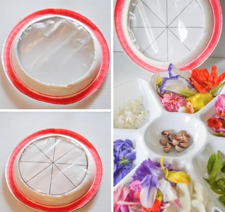 okenný obrázok pre letnú školu s kvetmi