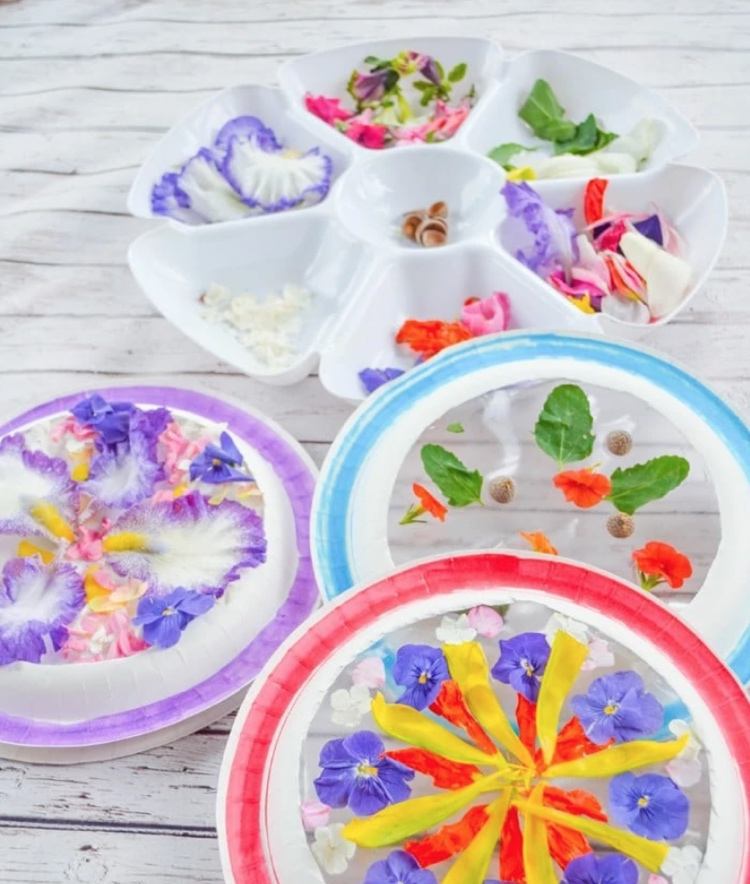 obrázky okien letná drotárska základná škola