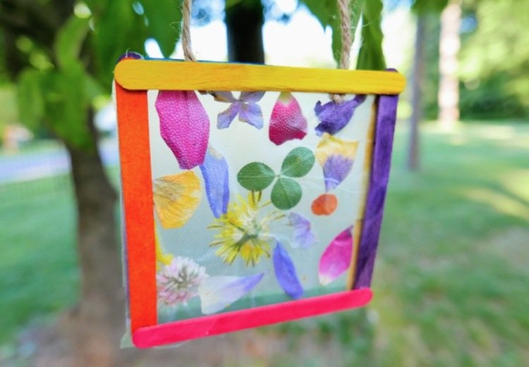 obrázky okien letná škôlka