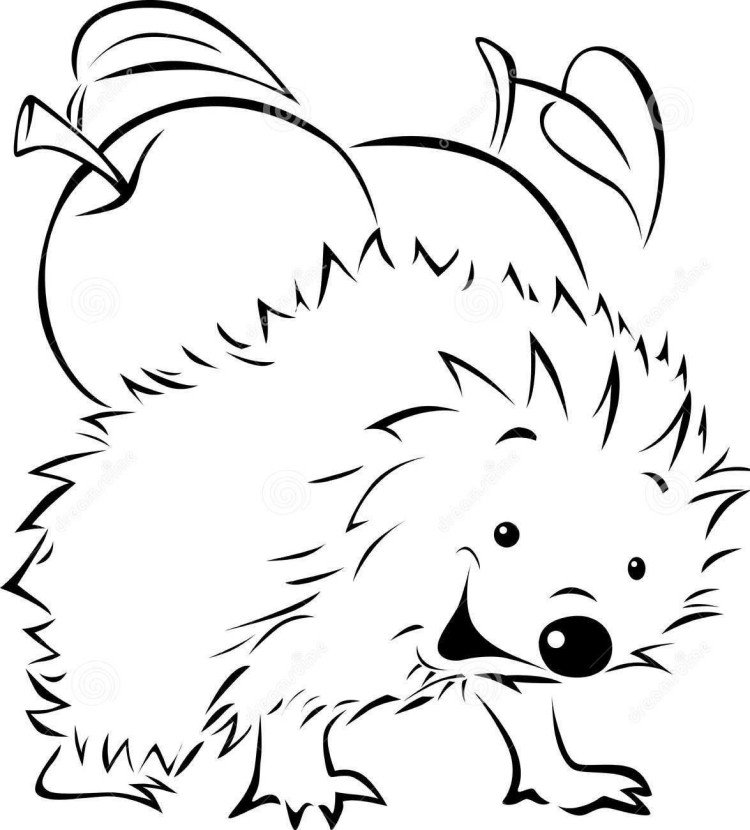 Šablóny na tlač a vyfarbovanie s vtipnými ježkami okenné obrázky jesenná šablóna ježka print-color-template