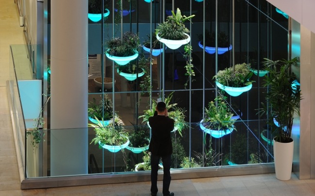 umelecké inštalácie s rastlinami Lyon Confluence, apríl 2012 umelecké inštalácie s rastlinami tricoire Lyon Confluence, apríl 2012