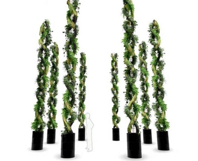 umelecké inštalácie závod alexis tricoire dna pramene umelecké inštalácie s rastlinami alexis tricoire dna špirály