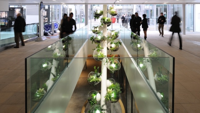 umelecké inštalácie rastliny alexandre tricoire bublinový strom lyon umelecké inštalácie rastliny alexandre tricoire bublinový strom lyon