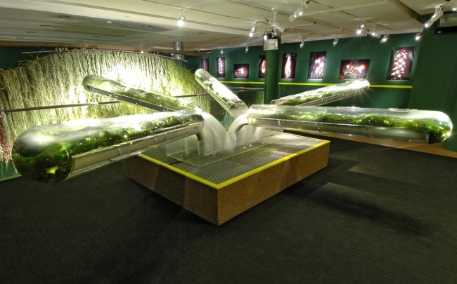 umelecké inštalácie so skúmavkami alexis tricoire umelecké inštalácie rastliny skúmavky alexis tricoire