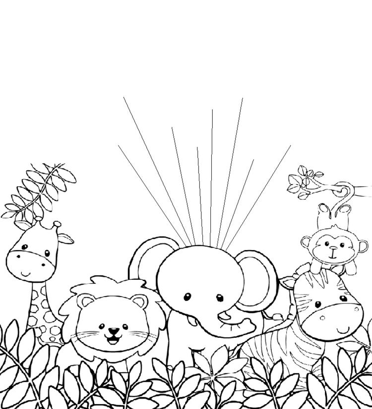 safari-zvieratá-žirafa-lev-slon-zebra-opice