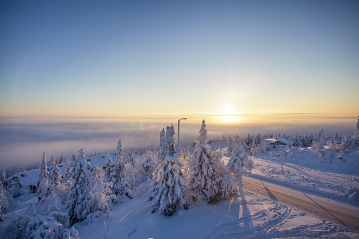 Užite si panorámu zo spálne a obývačky na dovolenke fínska dovolenka s výhľadom na safari suite les syöte