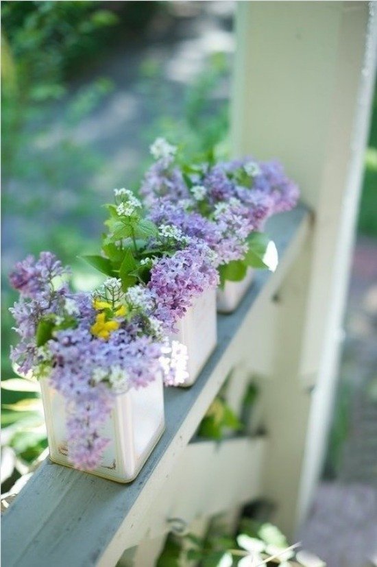 kvetináč s orgovánovými rastlinami orgován ružová diskrétna starostlivosť