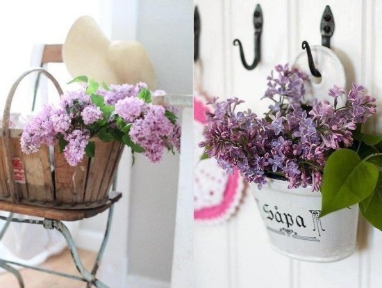 orgován vonná-jarná kvitnúca-silná vôňa