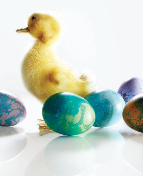 Mramorové veľkonočné vajíčka - rýchly návod