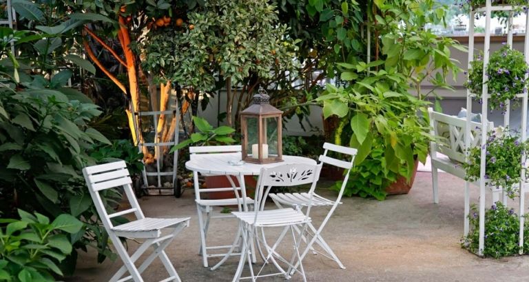 Tipy a nápady pre jedlú záhradu so zeleninou a ovocím