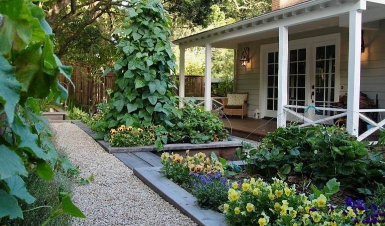 Atraktívny záhradný dizajn s tekvicovými rastlinami a jedlými kvetmi vo vyvýšených záhonoch