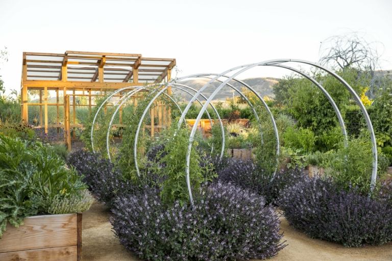 Sadte zeleninu a ovocie, korenie, bylinky, stromy a kry